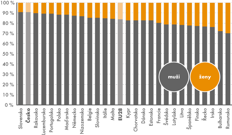 IT odborníci podle pohlaví v zemích EU28, 2013