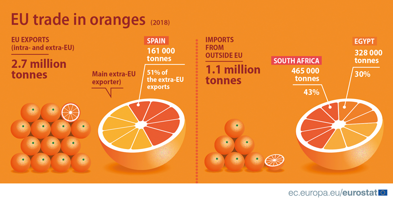 Produkce pomerančů v EU