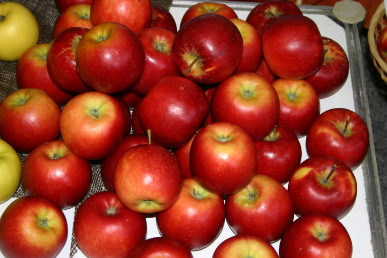 Čtvrtina německých jablek míří do džusů