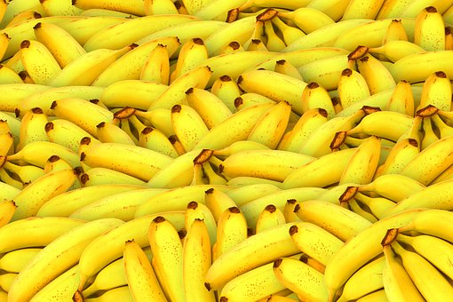 Prvorepublikoví statistici kritizovali dovoz banánů